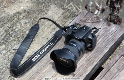 單反相機(jī) 開(kāi)啟專(zhuān)業(yè)攝影之門(mén)